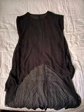 cha cha vente Black Swiss Dot Sheer Top